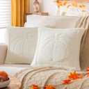 Cream White Pumpkin Fall Pillow Covers 20"x20" Set of 2, Embroidered Faux Fur Decorative Throw Pillow Covers for Couch Soft Fluffy Plush Cushion Cases for Farmhouse Halloween Home Decor