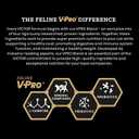 VICTOR Super Premium Cat Food  Grain Free, High-Protein Fit Feline - Dry Cat Food for Indoor Cats - 38% Protein, 16% Fat - for All Breeds and All Life Stages from Kitten to Adult, 5lb