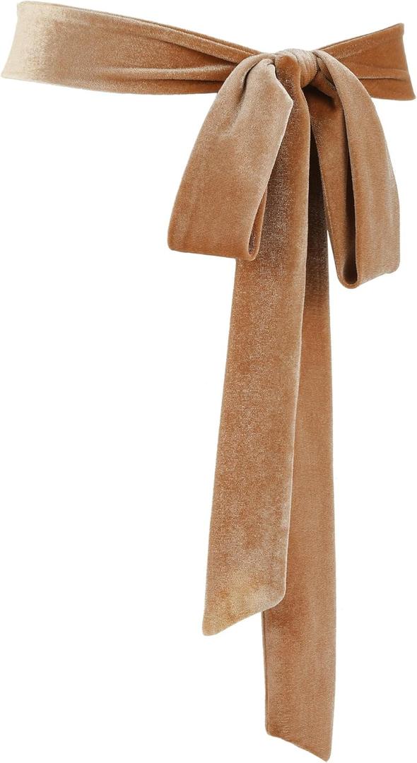 Geyoga Women Velvet Sash Belt Dress Sash Tie Waist Belt Skinny Neck Scarf Wedding Special Occasion Prom Formal (Champagne)