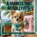 EcoBark Teacup Dog Harness - Luxury Step in Mesh Dog Harnesses in Mint Turquoise, XXS