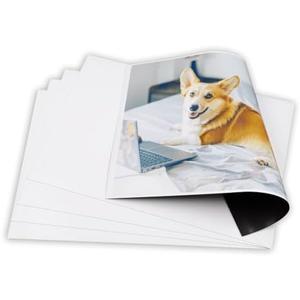ForTidy Magnetic Sheets, Pack of 5, Printable Magnet Photo Paper for Inkjet Printer, Whiteboard, Fridge Magnet Sticker, Crafts and Pattern Storage, Easy to Diy, 8.27 x 11.69 inches Set of 4