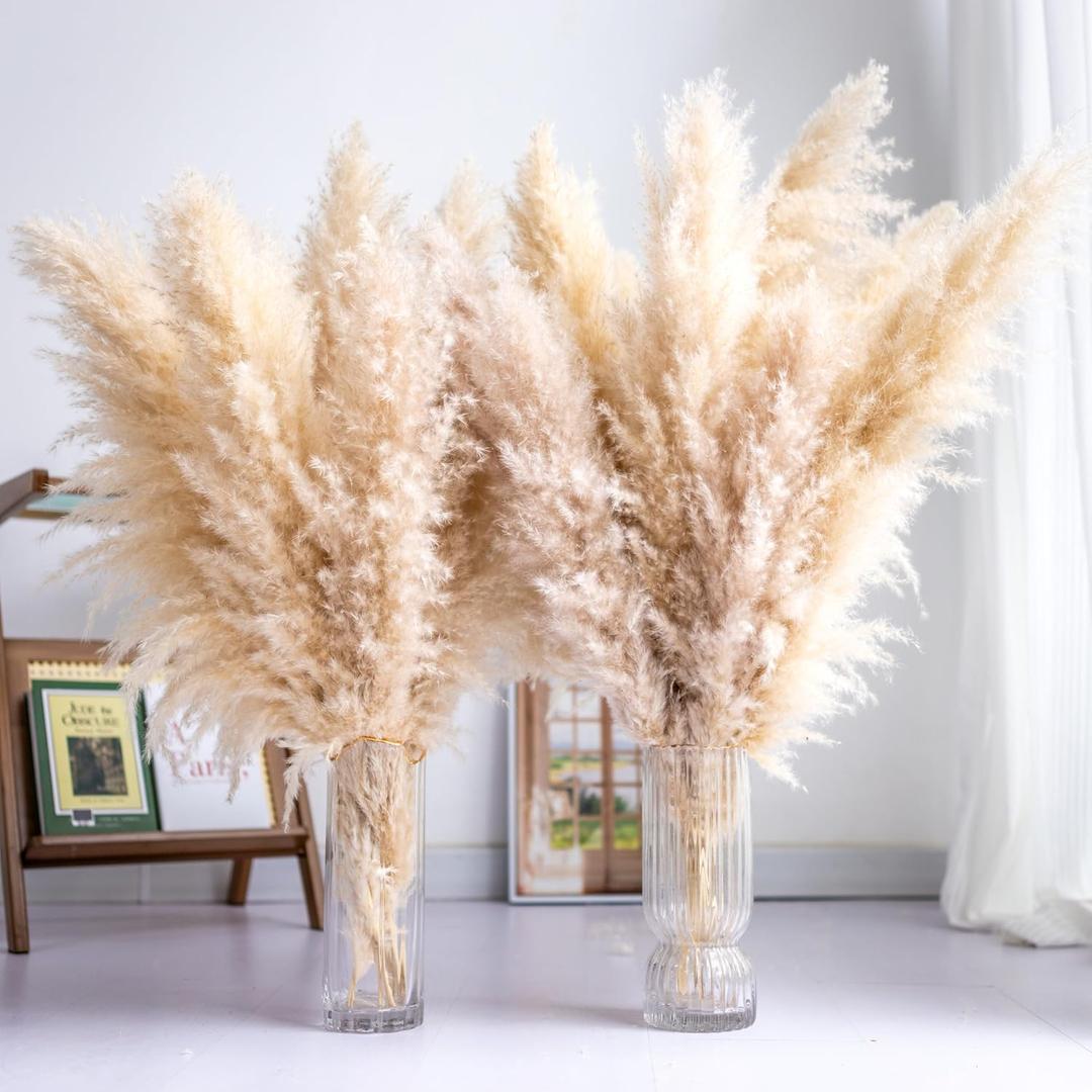 Tall Pampas Grass 20PCS Boho Decor Natural Home Decor Phragmites Dried Flowers Bouquet for Wedding Floral Arrangements Home Decorations (20PCS Tall Pampas Grass)