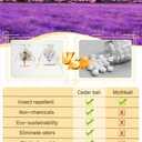8 Pack Cedar Chips and Natural Dried Lavender Sachets Bags - Stop Clothes Damage, Cedar and Lavendar Home Fragrance Sachets for Drawers and Closets3 Cedar & 5 Lavender