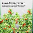 VIVOSUN 4 x 4Ft. Elastic Trellis Netting with 4 Hooks for Climbing Plants, Vegetables, Fruits, and Flowers, Pack of 1 (4x4ft stretched size-3mm d)