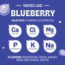 Blueberry Hydration Powder  Zero Sugar Electrolyte Drink Mix | 90 Servings | Keto, Vegan, Gluten-Free | Natural Electrolytes for Muscle Recovery, Energy, Cramp Relief | for Women, Runners