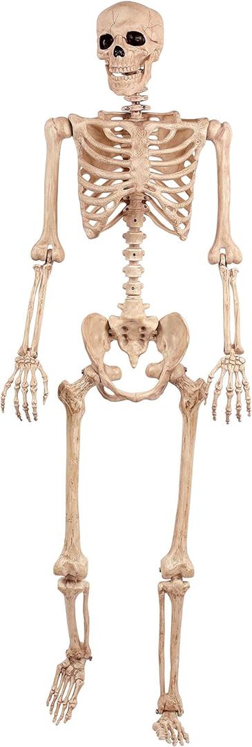 Crazy Bonez Original Pose-N-Stay Halloween Skeleton, 5 FT  Life-Size, Realistic, Fully Poseable Indoor & Outdoor Decoration, Durable Plastic Spooky Prop for Yard, Porch, Haunted House