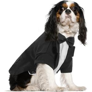 Queenmore Formal Dog Outfit for Wedding, Pet Tuxedo with Tie, Cat Costume (Black, M)