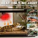 25W Reptile Heat Lamp(2-Pack) Ceramic Heat Emitter- Non-Light Emitting, 24/7 Safe Heating for Terrariums, Brooders & Incubators-Turtle Lizard Bearded Dragon Snake Small Pets E26