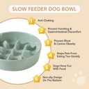 Havniva Ceramic 0.9 Cup Dog Bowl Slow Feeder, 6.1inch Slow Pet Food Dish for Small Dog and Cat, Stop Bloat, Preventing Choking(Single Bowl, Light Green)