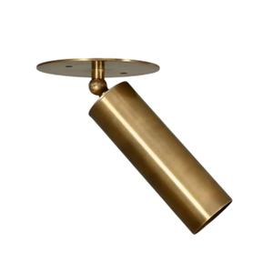 NovaCartStore Antique Brass Adjustable Ceiling Spotlight Surface Mounted Directional Downlight for Living Room, Bedroom, Hallway Vintage Brass Flush Mount Spot Light for Home (Antique Patina)
