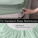 AILONEN Green Frog Comforter Set Queen 7-Piece Bed in a Bag,Tropical Amphibian Tree Frog Bedding Set for Kids Boys Girls,Soft Comforter & Fitted Sheet with Flat Sheet,2 Pillowcases,2 Pillow Shams