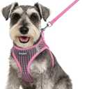Eagloo Small Dog Harness and Leash Set, Step in Puppy Vest with Breathable Soft Mesh, Walking Reflective Pet Harness for Small Dogs, Pink, S (S(Chest:15.1"-16.5"))