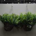 QIANYUN Fake Fern Outdoor Artificial Plants-2-Pack Artificial Outdoor Hanging Fern Faux Greenery UV Resistant Plastic Plants for Front Porch Living Room Garden Decor- Including Hanging Planters