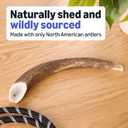 Amazon Basics Dog Deer Antler Chew, Naturally Shed, Whole, 9-10.5 inches, Long Lasting for Aggressive Chewers, X-Large, Best for Dogs Over 45 lbs (Previously Wag) (EXP 02/13/29)