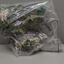 Zeyune 3 Pcs Fall Artificial Dusty Plum Stem Plum Sedum Berry Stem Autumn Faux Berry Picks Branches Faux Spray for Home Halloween Thanksgiving Farmhouse Mantel Harvest DIY Decorations (White Green)