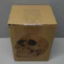 READAEER Resin Skull, Human Head Model for Home Decoration, Halloween Statue, Skull Model for Bookshelf and Desktop (White)