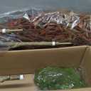 Faux Bamboo Plant Artificial Nandina Tree 5.5FT Artificial Plants Realistic 90% Better Coverage Faux Plant Bamboo Plants Faux Floor Plant in Pot for Home & Office Decor (Red, 5.5ft)