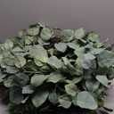 4 Pcs Candle Rings Artificial Eucalyptus Leaves Wreaths 10 Inch Candle Rings Wreaths Small Boho Wreath Pillar Candle Holder for Wedding Home Door Tabletop Decoration (Elegant Eucalyptus Leaf)