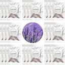 24 Pack Lavender Car Air Freshener Refills, Car Air Vent Clip Freshener Replacement Pads, Solid Fragrance Scent Refill Tablets