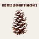 Frosted Pine Cones – Set of 15 Small 3–4" Loblolly Pinecones for Crafts, Christmas & Winter Decor, DIY Ornaments, Vase Fillers, Rustic Wedding Centerpieces & Seasonal Home Styling Events