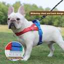 No Pull Dog Harness with Handle Freedom Mesh Escape Proof Easy on Vest Harness with Front Clip for Small Medium Sized Breeds, Black, Large