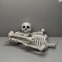 CAMIRUS 36" Skeleton Halloween Decorations, 3ft Full Body Posable Life Like Skeleton Realistic Human Plastic Bones with Movable Joints for Halloween Party Lawn Haunted House Decor