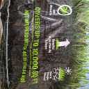 Scotts Kentucky 31 Grass Seed Mix, 40 lbs. | Premium Lawn Grass Seed, Covers Up To 10,000 sq. ft.