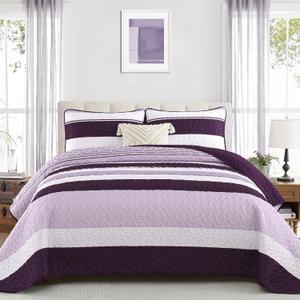 Dinjoy Purple Boho Quilt Set Queen,Striped Bedspreads Queen Size Lightweight Farmhouse Quilts 3 Pieces Patchwork Bedding Sets Coverlet Bed Set with 2 Pillowcases for Women Fall Winter