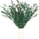 Preserved Real Eucalyptus Leaves Branches, 7-12 Pcs Fine Leaf Eucalyptus Greenery for Home Decor - Vase Filler, Wedding Centerpieces, Floral Arrangements, Crafting (14''-17'', Green)