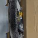 Android 12 Car Radio for Ford Focus 2012 2013 2014 2015 2016 2017 2018 with Carplay Android Auto - 2+32GB 9" Car Play Screen for Focus Stereo with GPS, BT, WiFi, SWC, FM + CANBUS + AHD Backup Camera