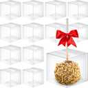 Juexica 100 Pcs Candy Apple Boxes with Hole 4 x 4 x 4 inch Caramel Apple Container Treat Gift Boxes for Wedding Harvest Party Christmas Chocolates Cookies Cake Pops (Clear)