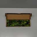 4 Pcs Artificial Ficus Branches Faux Eucalyptus Stems, 47.2 Inch Fake Greenery Stems Artificial Plants for Vase Filler Decoration, Fake Leaves Branches Centerpieces Decor