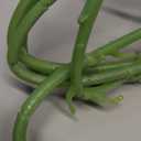 IPOPU 6pcs White Delphinium Artificial Flowers 36.22in Silk Flowers Snapdragon Flowers Hyacinth Artificial Flowers Long Stem Flowers for Wedding Home Floral Centerpieces Decor(White)