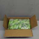 24 Pcs LED Glow Bracelets Sound Activated Music Control Light Up Bracelets for St Patty's Non Candy Goodie Gift Bag Stuffers Treats for Boy Girl For Birthday Party,Carnival,Concerts(green)