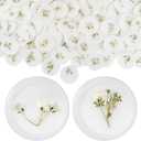 Qilery Adhesive Wax Seal Stickers White Dry Floral Backing Envelope Seals Wedding for Wedding Invitations Bridal Shower Party Letter Envelope (50 Pcs, Baby's Breath)