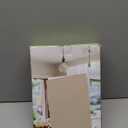 Alpine Industries Countertop Paper Towel Holder - Stainless Steel Kitchen Napkin Roll Dispenser Stand for Home, Office, Bathroom (Steel-Lite) (Medium)