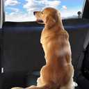 Durapower Dog Car Door Protector 2 Pack Extra Big & Thick Anti Pet Scratching Waterproof Vehicle Door Covers Guard Truck Interior Panel Safe SUV Universal 600D Black (Angular)