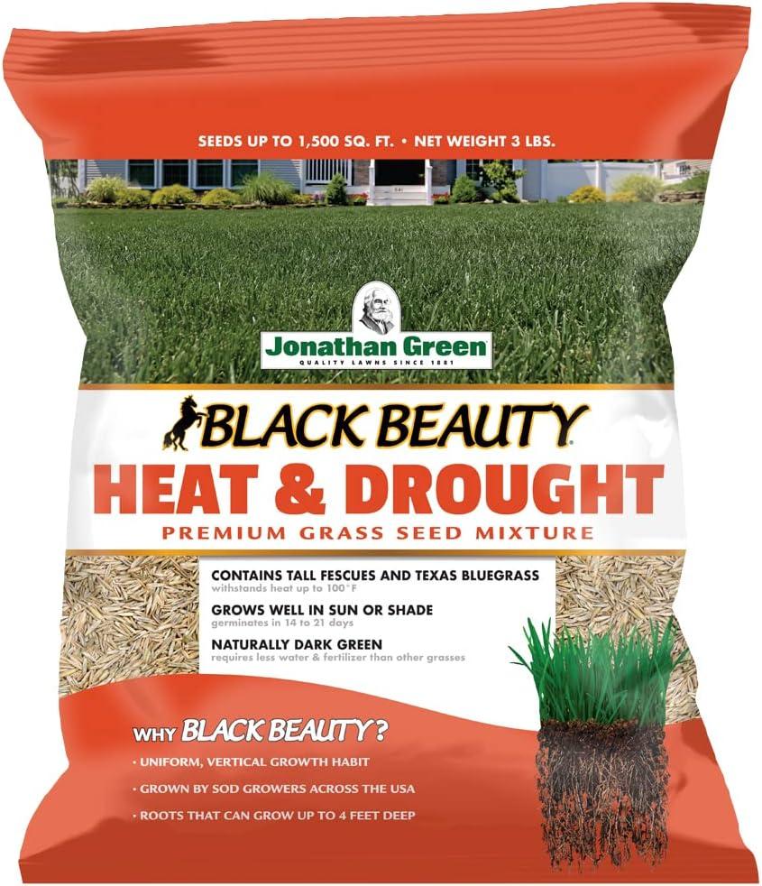 Jonathan Green (10514) Black Beauty Heat & Drought Resistant Grass Seed - Cool Season Lawn Seed (3 lb)