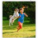 ALPI Chomp Ball - Durable Chew Toys for Dogs & Other Pets - Stimulating Dog Toys for Aggressive Chewers - Soft Dog Chews - 3-Pack, Assorted