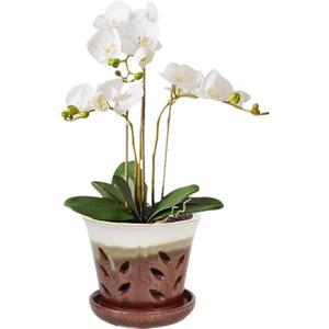 Vensovo 5.5 Inch Ceramic Orchid Pot - Orchid Pot with Holes for Repotting, Ceramic Planter with Saucer for Indoor/Outdoor Plants, Brown