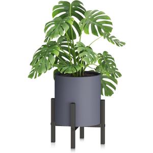 8 Inch Gray Cylinder Plant Pots with Heavy Duty Stand,Durable Planters for Flowers,Large Plant Pot for Indoor and Outdoor, Decorative Modern Flower Pots with Drainage Hole