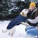 Fragralley Dog Coat Medium, Waterproof Dog Jacket with Warm Fleece Lining, Adjustable Reflective Dogs Winter Coat, Turtleneck Pet Coats for Cold Weather (Blue M)