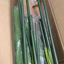 8ft Artificial Bird of Paradise Plant, Floor Tree with 24 Leaves