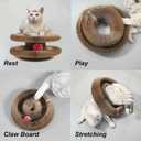 Kitty Curls Cat Toy,Magic Organ Cat Toy,Cardboard Cat Scratcher,Foldable Recyclable Cat Accordion Toy for Indoor Cat Playing,Interactive Scratch Pad with Toy Ball(1pc)