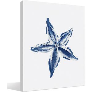 BIWSHA Vintage Coastal Beach Starfish Wall Art Decor, Coastal Beach Home Room Decor, Nautical Ocean Starfish Beachy Canvas Wall Art Prints Decor for Home Bedroom Living Room, 11x14 Inch