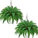 2Pack Artificial Boston Ferns Hanging Plants 23.6'' Fake Silk Fern 50 Leaves That Look Real in Pots for Outdoors & Indoor Faux Potted Plant for Home Porch Patio Garden Decor (Green)