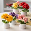 2 x Crochet Flowers Cute Potted Flower Birthday Teachers Day Graduation Anniversary Christmas Valentines Decor for Car Dashboard Home Office Decoration (Red Gorgeous Carnation)