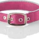 Pet Passion Adjustable Silver Trimmed Dog Collar for Pets Small, Medium and Large Dogs, Silver/Hot Pink, X-Large