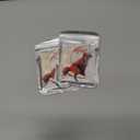 2 x Christmas Tree Decorations, Acrylic Animal Christmas Ornaments, Home Decoration, Party Decoration, Small Animals on The Moon (Moon Fox)