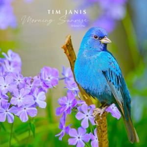 Tim Janis Morning Sunrise Volume One - Relaxing Music Traditional Instrumental Hymns Sounds for Relaxation, Stress Relief, and Meditation - Soothing Piano Calming Music Audio Tim Janis